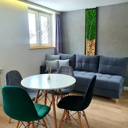 公寓 Szafranski Saneczkowa