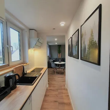 Szafranski Saneczkowa 卡尔帕奇