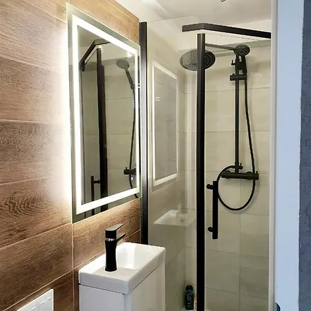 Szafranski Saneczkowa 公寓 卡尔帕奇