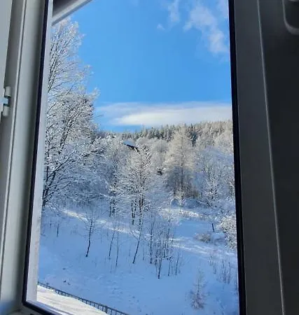 公寓 Szafranski Saneczkowa 卡尔帕奇