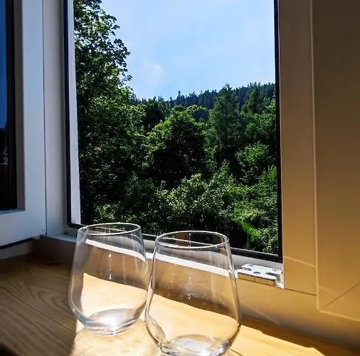 Szafranski Saneczkowa